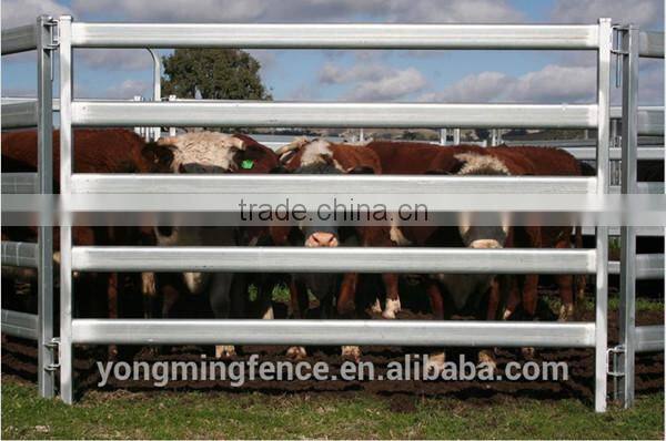 1.8-2.5mm galvanized wire for hanger / hanger wire ( with ISO9001 and SGS )