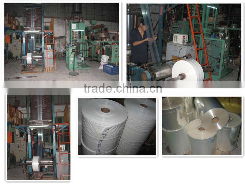 Custom printed three side sealed PA PE laminated plastic packaging bag for frozen food packing