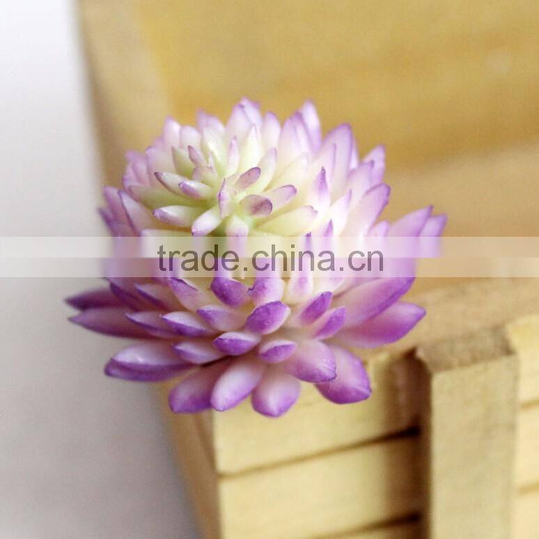 Wholesale Artificial Succulent Plants Mini Succulent Plants Succulent Plants Tropical Plants