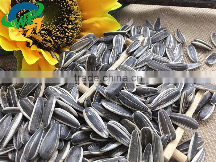 Raw sunflower seeds 0409 stye oil market price oil ukraine