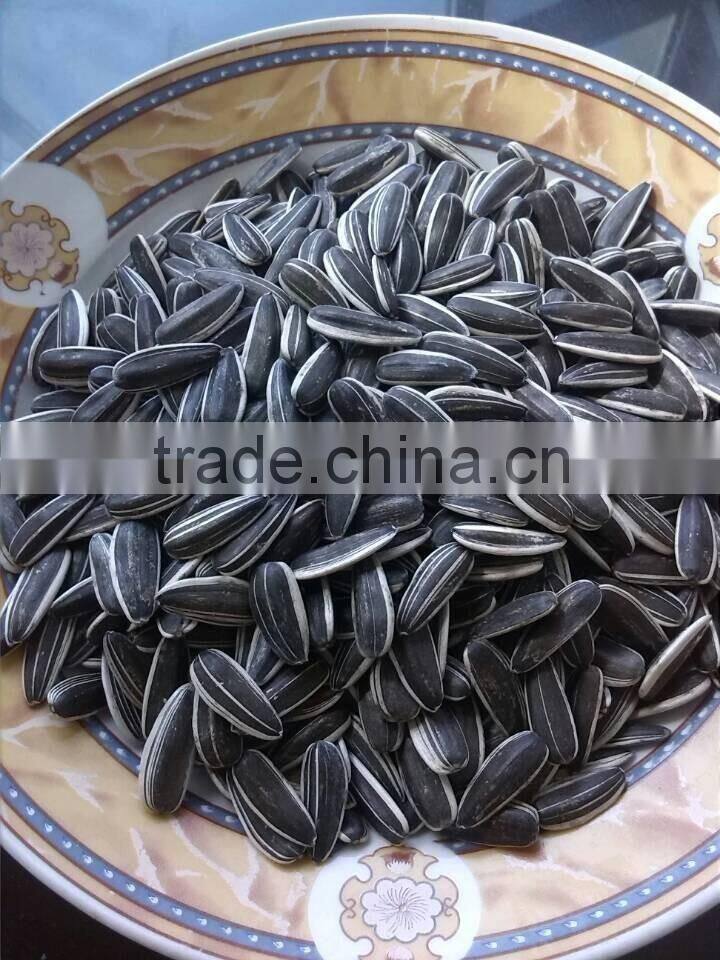 chinese fresh sunflower seed 5009 hot sale