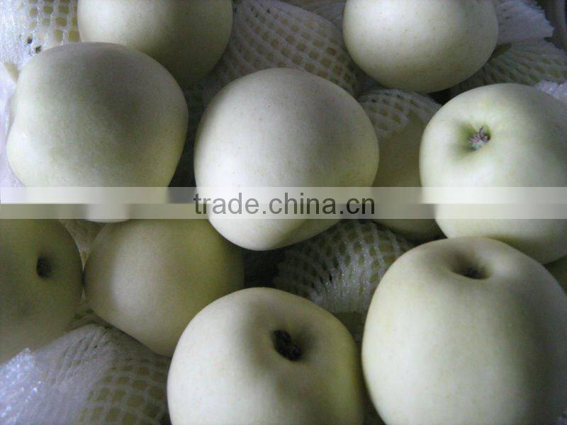 Golden Delicious Apple