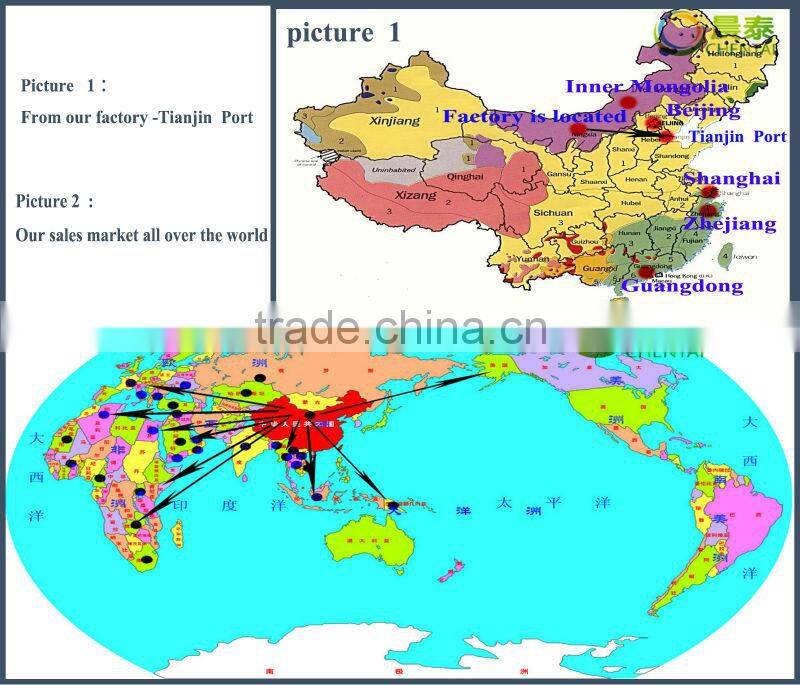 Wholesale 6009 Raw Striped Sunflower Seeds 24/64