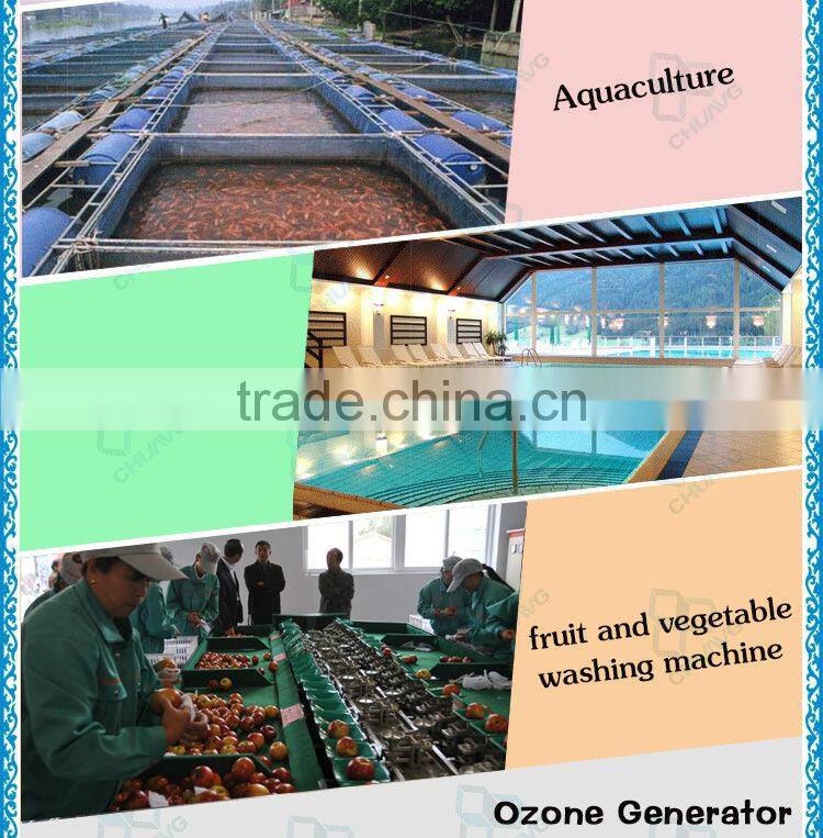 50G water cooling enamel ozonator suppier for water treatment