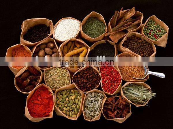 mutli-functional Stainless steel grain grinder/corn grinder/maize grinder/mill for grinding corn electric