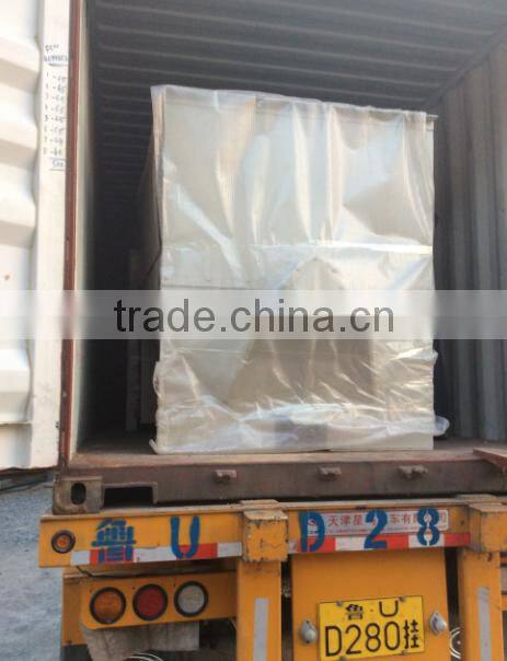 Twin screw mixer food mixer