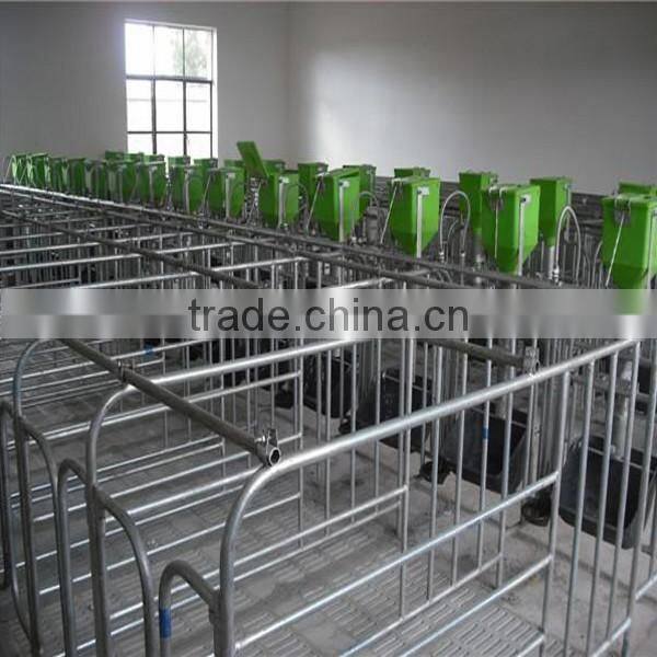 Pig Galvanized Equipment Pig Gestation Stall