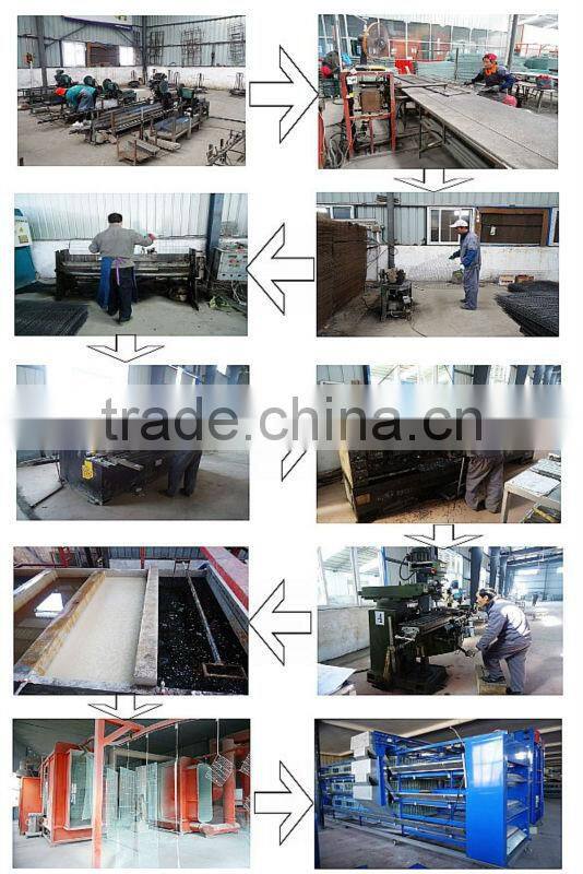 Zhongzhou automatic poultry battery chicken cage for Africa