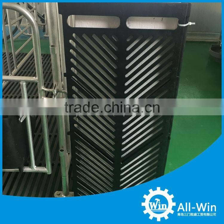 professional pig farm floor