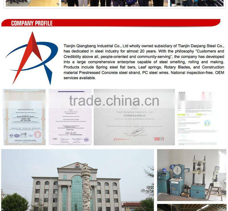 boat trailer small leaf spring