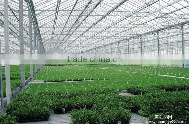 Good daylighting and UV resistance vegetables greenhouse,fruit greenhouse,fiberglass greenhouse