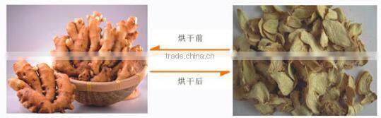 organic dehydrated food machine