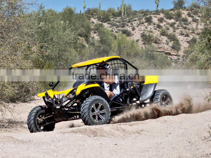 renli 1100cc desert cart from China