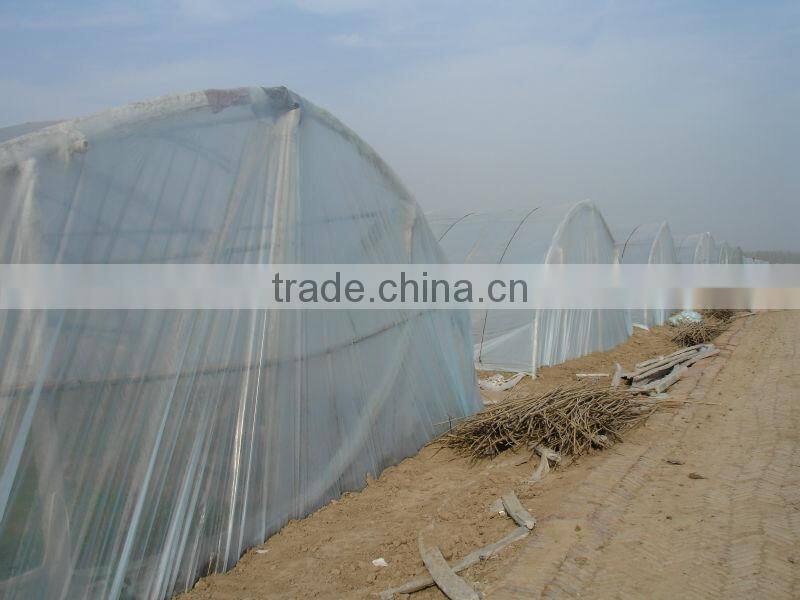 UV protect anti fog Transparent Co extruded PE Cover Film PE mulch film for watermelon greenhouse