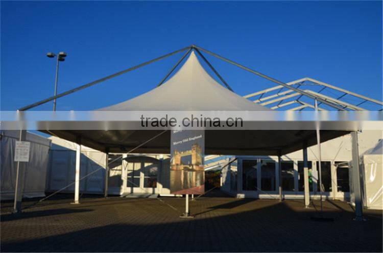 Waterproofing and fireproof 10x10 canopy tent with high peak