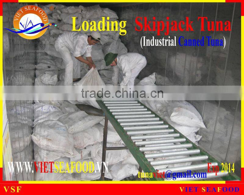 LOADING FROZEN SKIPJACK TUNA W/R
