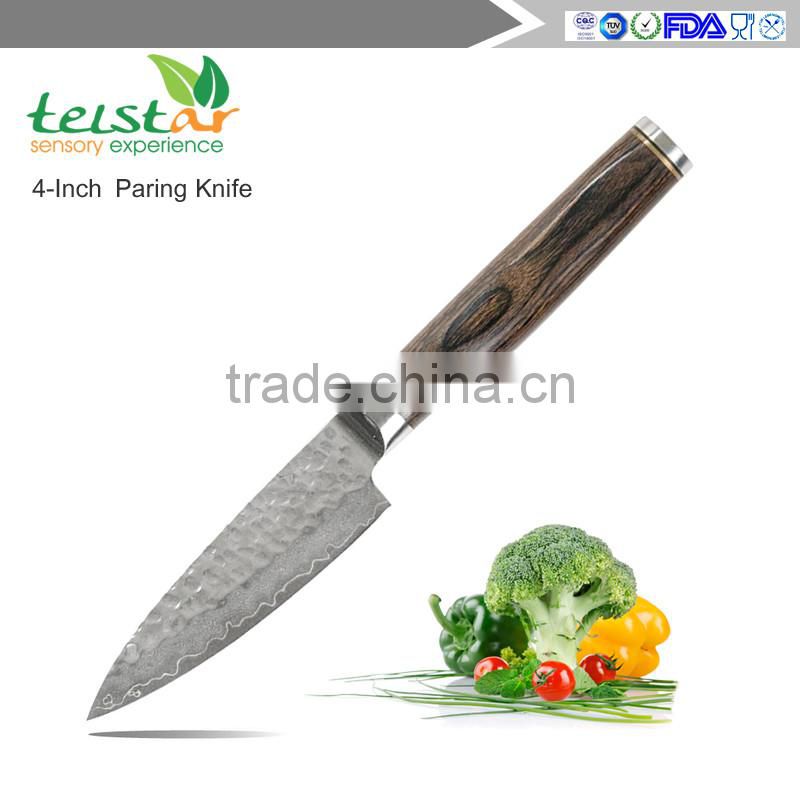 Japanese VG10 Super Steel 67 Layer High Carbon Stainless Steel chef knife