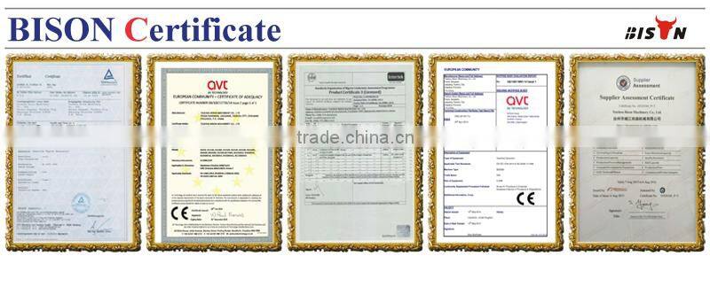 BISON(CHINA) 10kw Output Power Twin Cylinder Air Cooled Open Structure Portable Generator