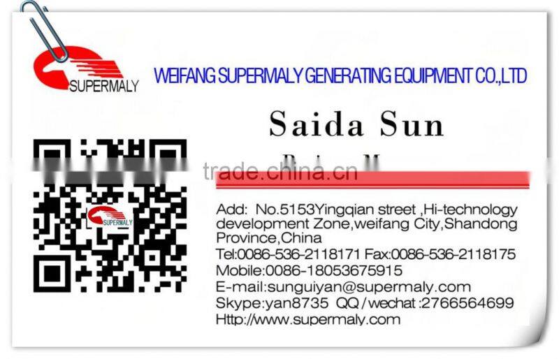 20kva30kva 40kva 50kva 60kva 70kva 80kva 100kva LPG gas generator