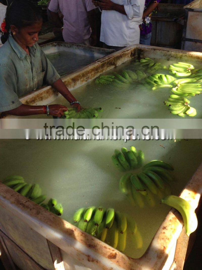 Cavendish Banana market prices - Oman market