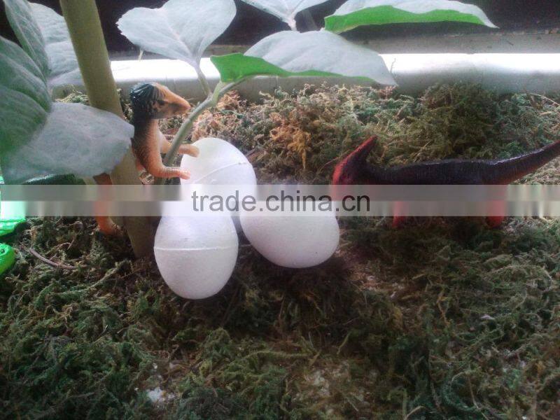 dinasour egg grow expand in water growing toy