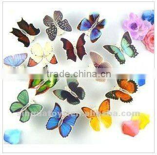 The beauty fibre with seven flash butterfly magnet