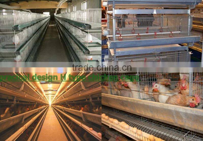 H type automatic layer poultry cages for Nigeria