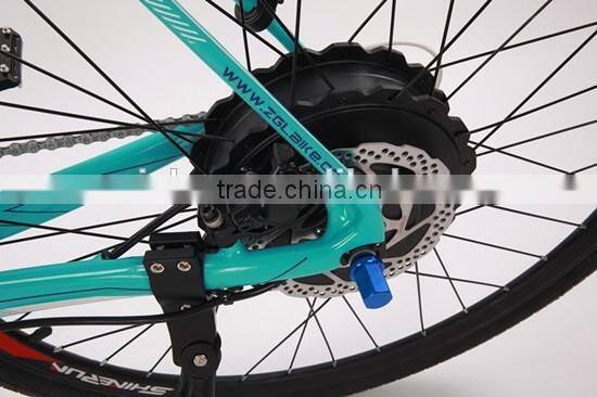 700C Carbon fiber high standard electric bicycle with 8 fun motor (Model YAKE MG)