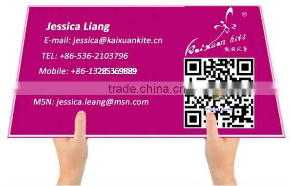 Durable Ripstop Nylon 3D Inflatable kite