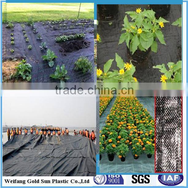 PP woven fabric as weed mat/ground cover/silt fence/landscaping/geotextiles
