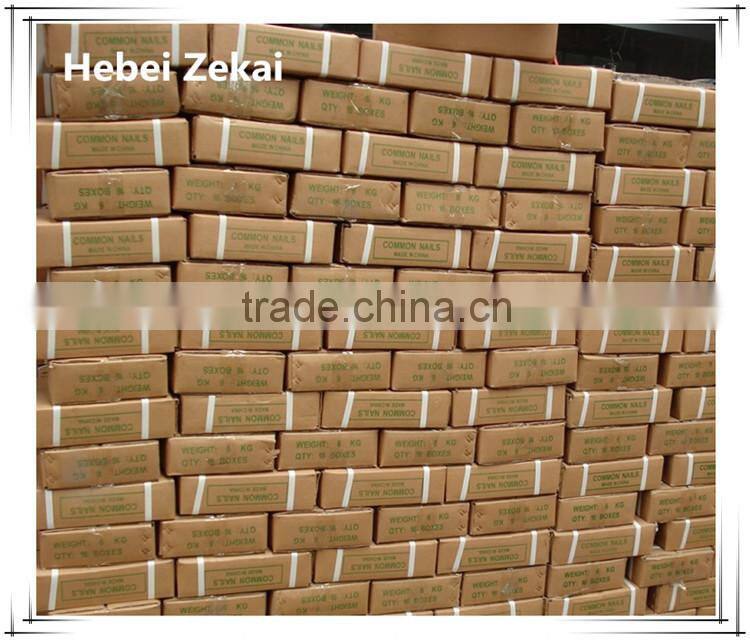 cheap price galvanized common nails for wood/furniture