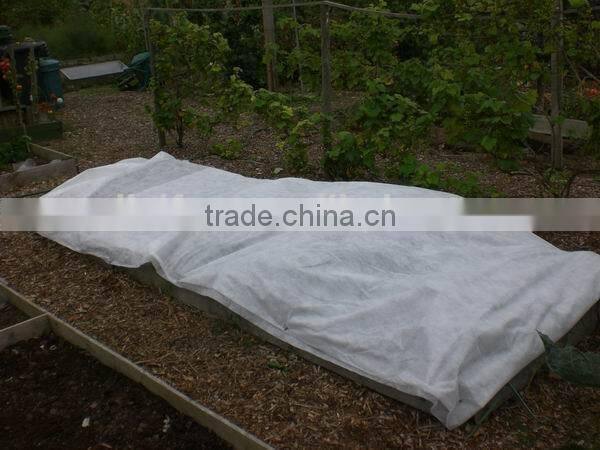 Pp Spunbond Non-woven Fabric For Banana Cover 30gsm