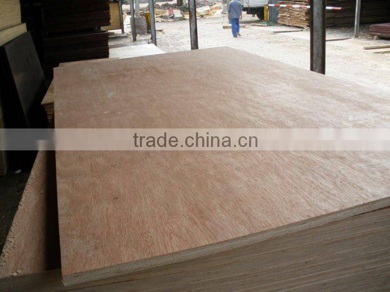Best Bintangor Face plywood