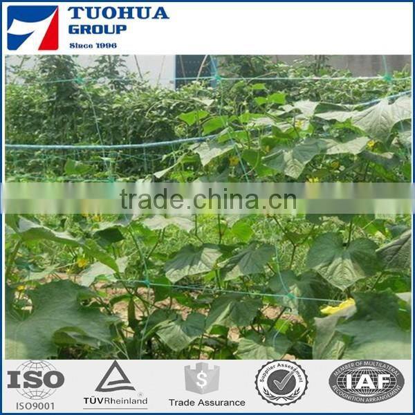 Tomato Plant Support Netting