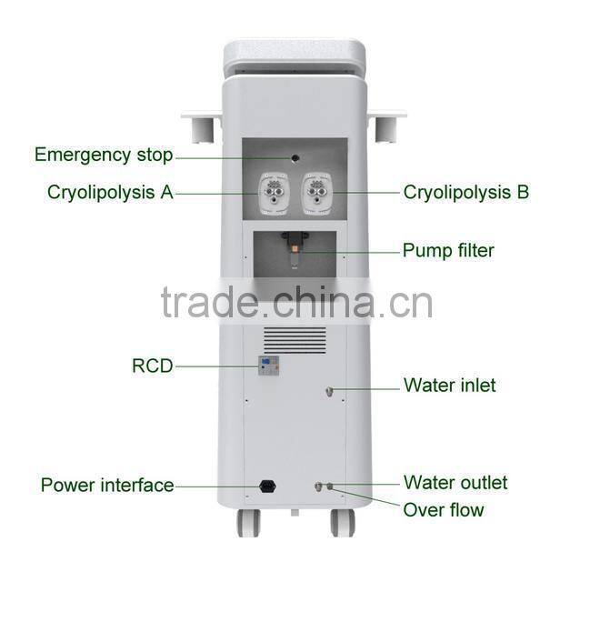 double handles professional cryolipolysis machine & cryolipolysis antifreeze membrane