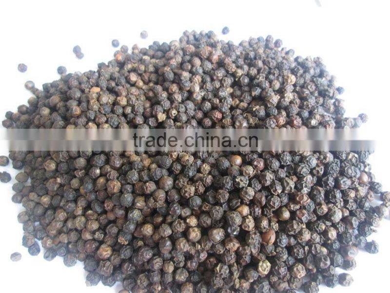New Crop High Quality Black Pepper from Vietnam