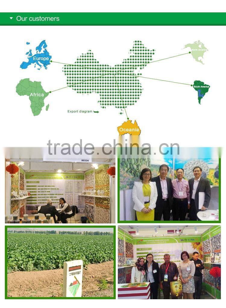 chinese best price for water melon seeds