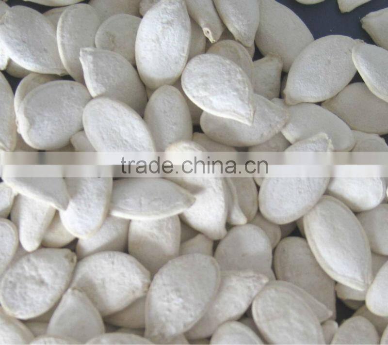 Roasted and Salted Pumpkin Seeds 11cm 13cm