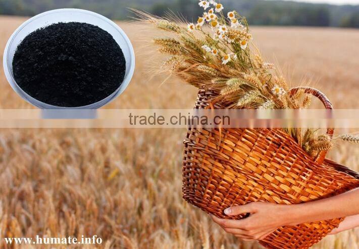 powder Alginic Acid Sources Seaweed Extract Fertilizer for Soil Application