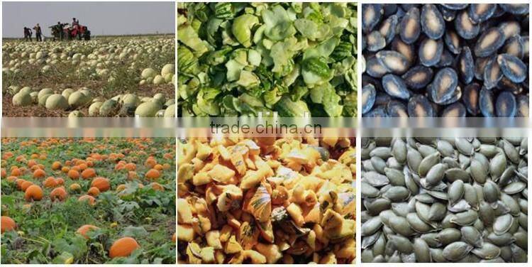 good performance high efficiency watermelon pumpkin seeds separating machine