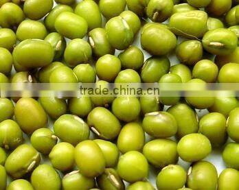 Semi-automatic Stainless steel weighing 10 -999 grams table type filling mchine