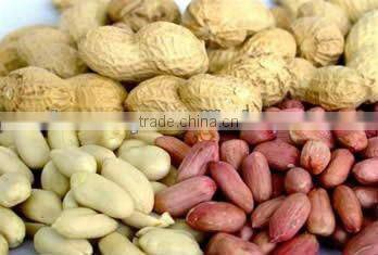 convenient to operate Peanut Sheller