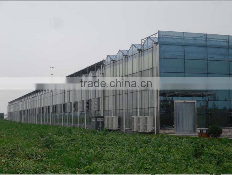 China used greenhouse frames for sale