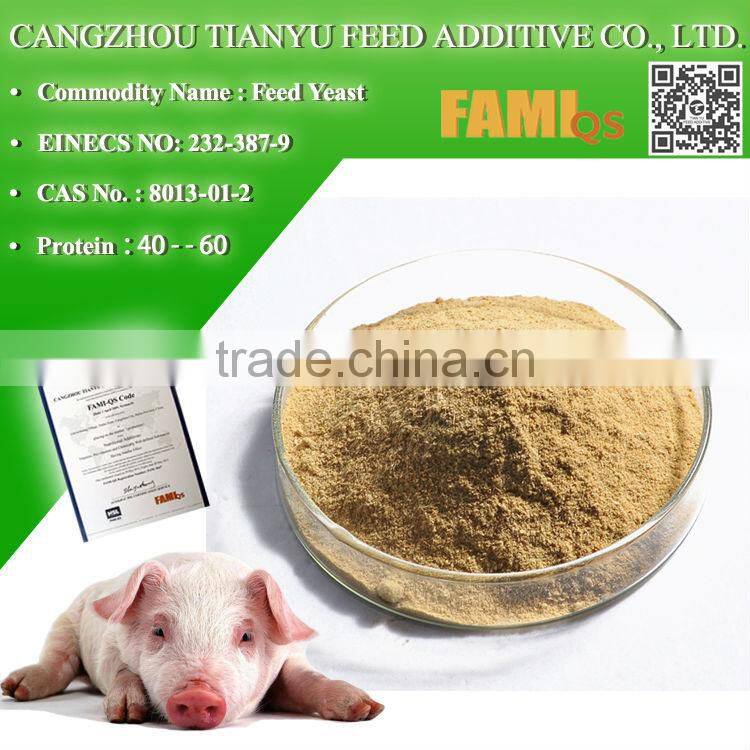 Yeast Powder 50% 55% 60% for cattle ,chicken,dog,horse ,fish