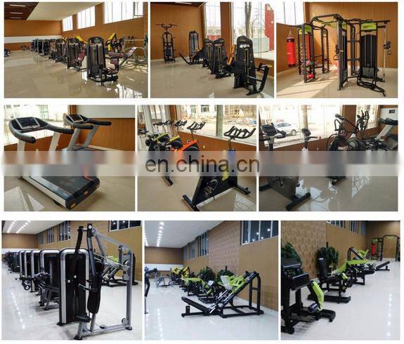 gym equipment fitness equipment exercise back extension machine