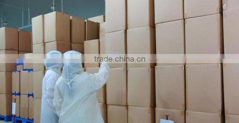 Freeze Dried Mango Dices 5mm*5mm