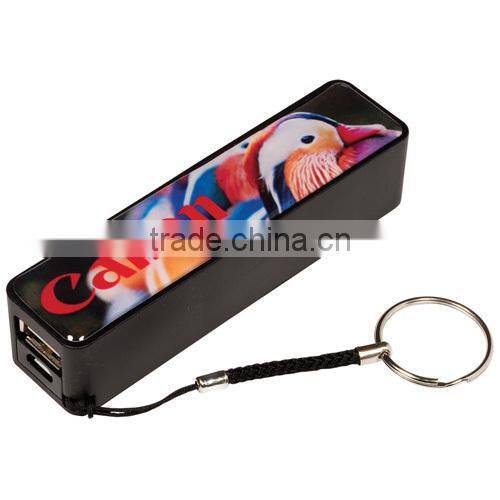 2600mah power bank with custom PMS color and Logo