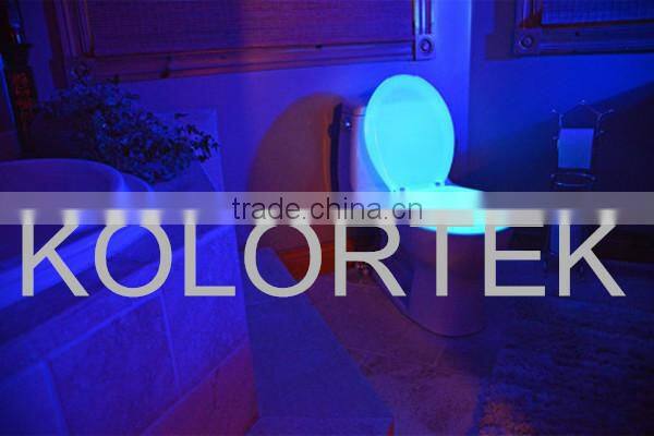Glow In The Dark Pigment Powder For Toilet-seat Paint