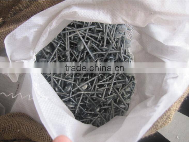 Washer Galvanized Roofing Nails