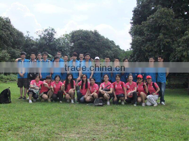 Rhinestone Conchos for belts